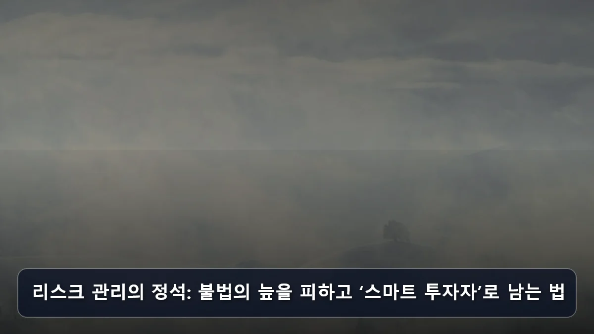 리스크 관리의 정석: 불법의 늪을 피하고 ‘스마트 투자자’로 남는 법 관련 이미지