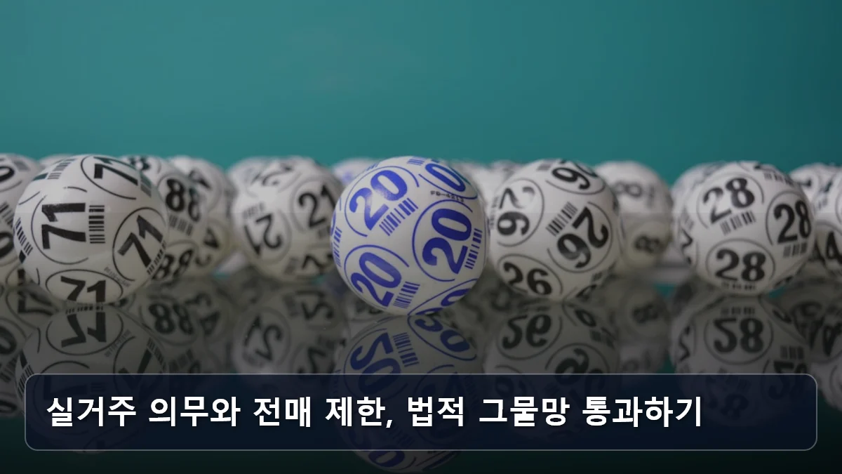 실거주 의무와 전매 제한, 법적 그물망 통과하기 관련 이미지
