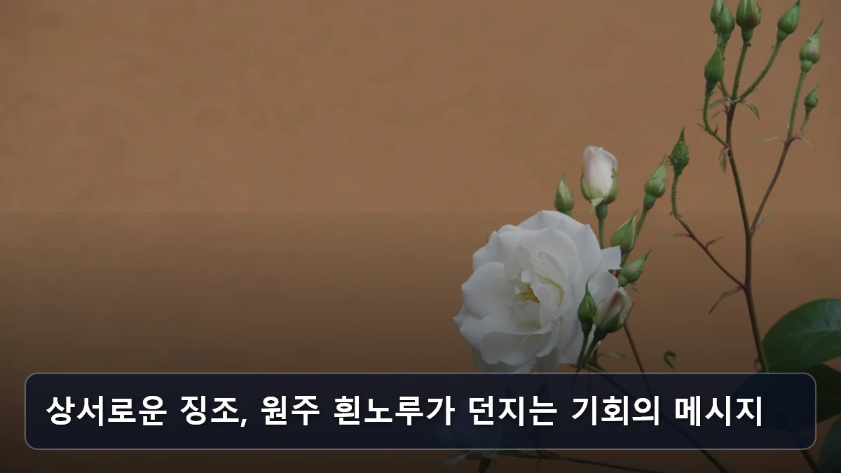 상서로운 징조, 원주 흰노루가 던지는 기회의 메시지 관련 이미지