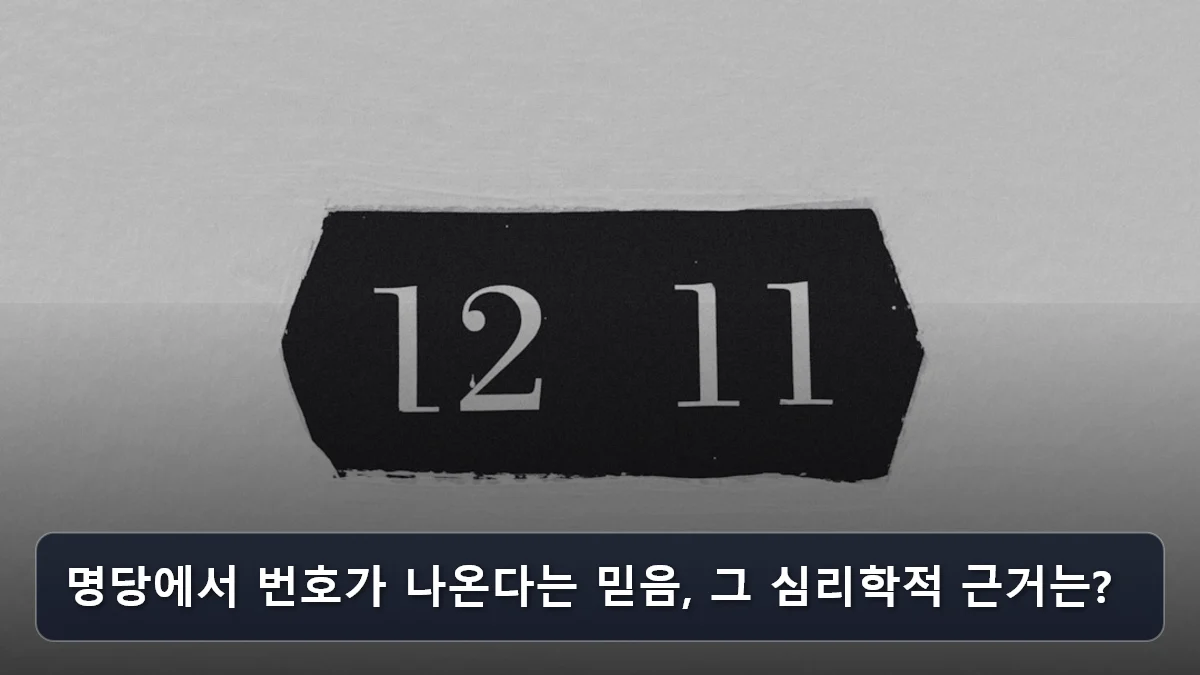 명당에서 번호가 나온다는 믿음, 그 심리학적 근거는? 관련 이미지
