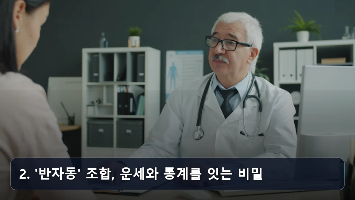 2. '반자동' 조합, 운세와 통계를 잇는 비밀 관련 이미지