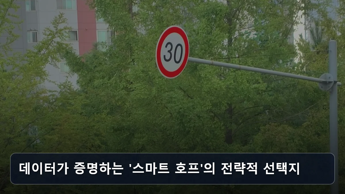 데이터가 증명하는 '스마트 호프'의 전략적 선택지 관련 이미지