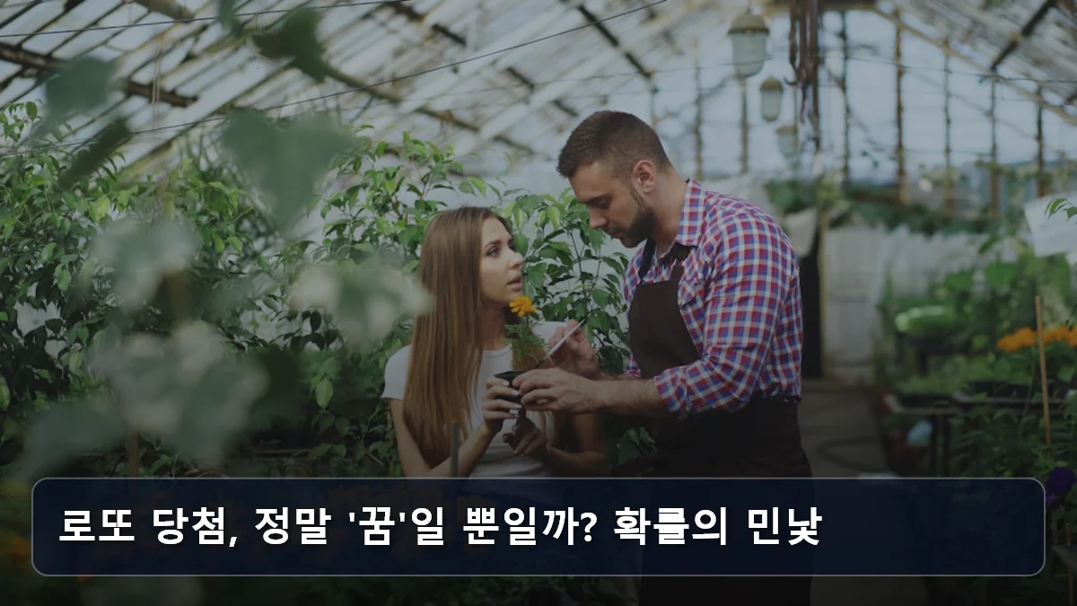로또 당첨, 정말 '꿈'일 뿐일까? 확률의 민낯 관련 이미지